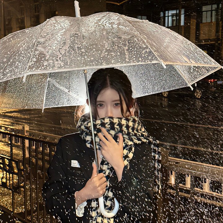 蜡笔小新:我的超时空新娘