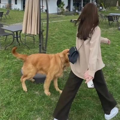 人力资源第一季